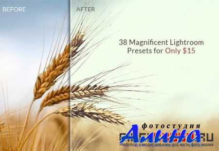 38 Magnificent Lightroom Presets