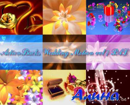 Свадебные футажи - ActionBacks Wedding Motion vol 7 PAL