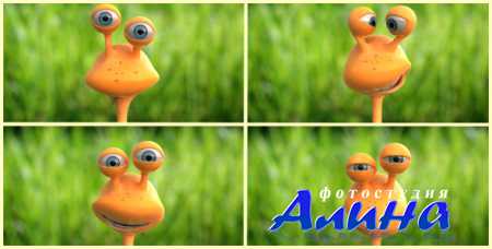 The Adventurous Snail