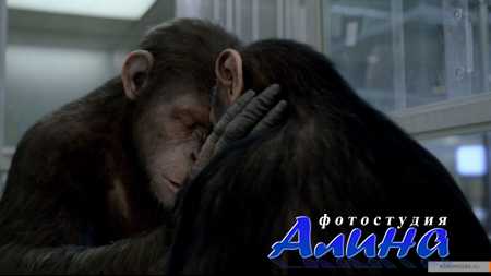 Восстание планеты обезьян / Rise of the Planet of the Apes
