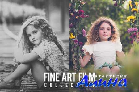 Fine Art Film Collection