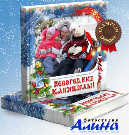 Фотоальбом семейный праздничный - Каникулы Новогодние