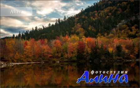 Lightroom Presets – Fall Color