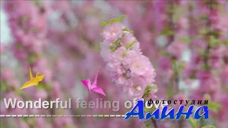 Wonderful feeling of love - Project for Proshow Producer