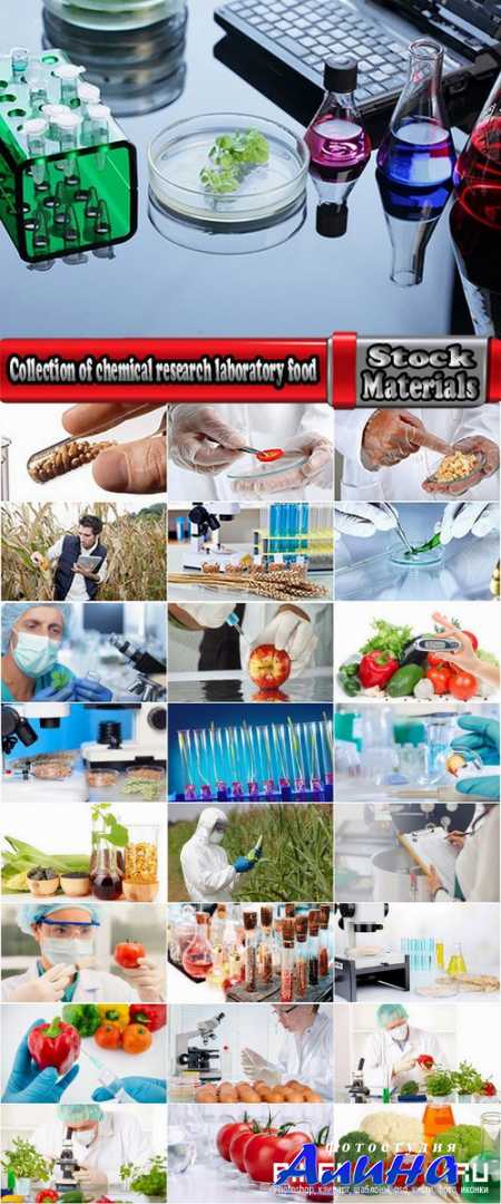 Collection of chemical research laboratory food food products research