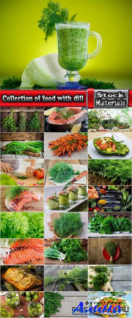 Collection of food with dill fennel greens different food