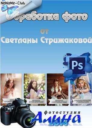 Светлана Стрижакова Видеоуроки по обработке фото (2014)