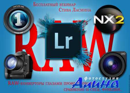 Стив Ласмин - RAW-конвертеры глазами профессионала