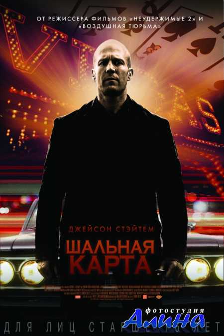 Шальная карта / Wild Card