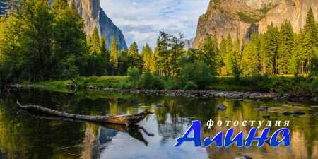 Природа - высококачественные фотографии с fotolia