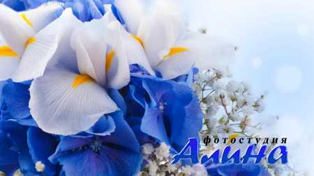 Текстуры и фоны - высококачественные фотографии с fotolia