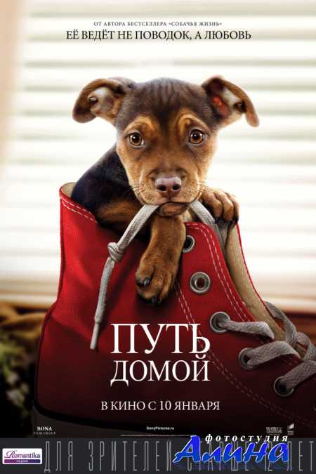Путь домой / A Dog's Way Home