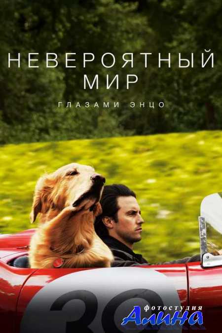 Невероятный мир глазами Энцо / The Art of Racing in the Rain
