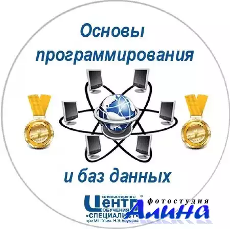 Основы программирования и баз данных. Обучающий видеокурс (2011)