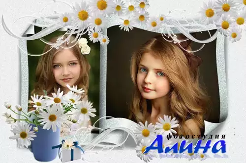 Рамка для Photoshop - В ромашках