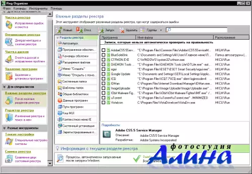 Reg Organizer 4.25 Eng & Rus Final+ключ