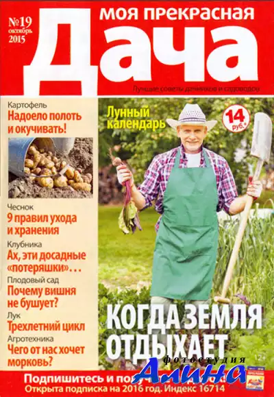 Моя прекрасная дача №19 (октябрь 2015)